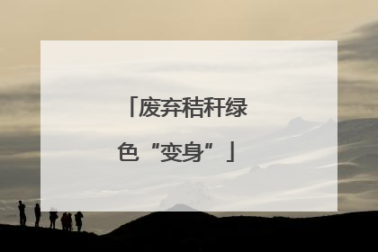 废弃秸秆绿色“变身”