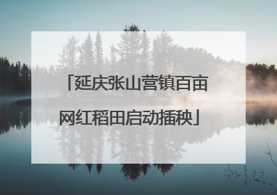 延庆张山营镇百亩网红稻田启动插秧