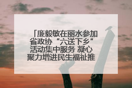 廉毅敏在丽水参加省政协“六送下乡”活动集中服务 凝心聚力增进民生福祉推进共同富裕