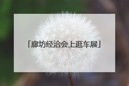 廊坊经洽会上逛车展