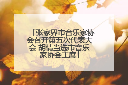 张家界市音乐家协会召开第五次代表大会 胡情当选市音乐家协会主席
