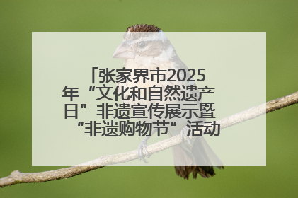 张家界市2025年“文化和自然遗产日”非遗宣传展示暨“非遗购物节”活动在慈利县盛大启幕