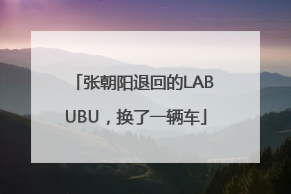 张朝阳退回的LABUBU，换了一辆车