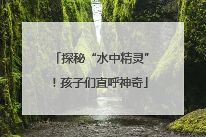 探秘“水中精灵”！孩子们直呼神奇