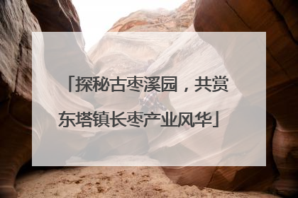 探秘古枣溪园，共赏东塔镇长枣产业风华