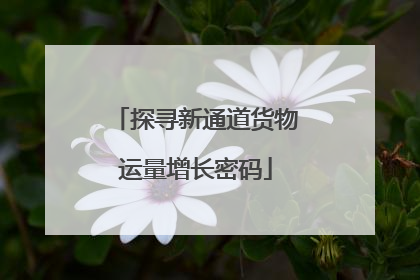 探寻新通道货物运量增长密码