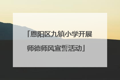 恩阳区九镇小学开展师德师风宣誓活动