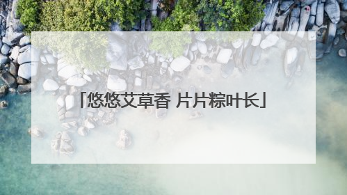悠悠艾草香 片片粽叶长