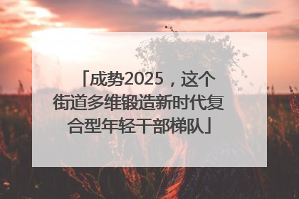 成势2025，这个街道多维锻造新时代复合型年轻干部梯队