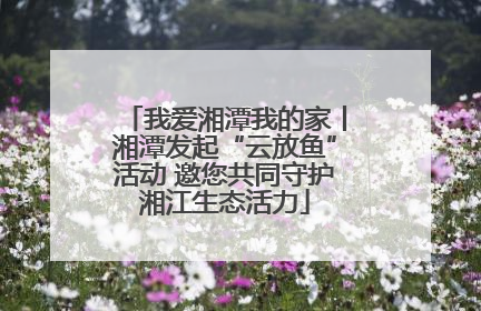 我爱湘潭我的家丨湘潭发起“云放鱼”活动 邀您共同守护湘江生态活力