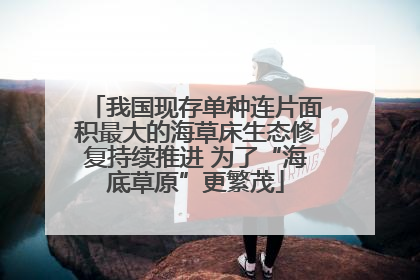 我国现存单种连片面积最大的海草床生态修复持续推进 为了“海底草原”更繁茂