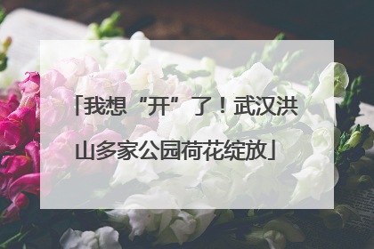 我想“开”了！武汉洪山多家公园荷花绽放