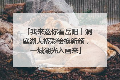 我来邀你看岳阳丨洞庭湖大桥彩绘换新颜，一城湖光入画来
