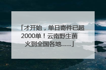 才开始，单日寄件已超2000单！云南野生菌火到全国各地……