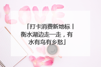 打卡消费新地标丨衡水湖边走一走，有水有鸟有乡愁