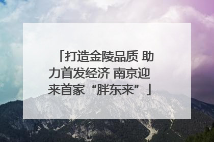 打造金陵品质 助力首发经济 南京迎来首家“胖东来”