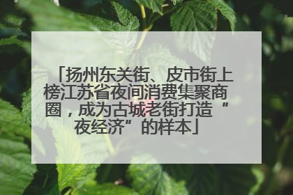扬州东关街、皮市街上榜江苏省夜间消费集聚商圈，成为古城老街打造“夜经济”的样本