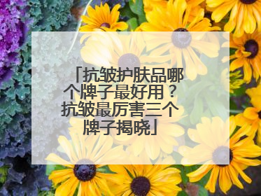 抗皱护肤品哪个牌子最好用？抗皱最厉害三个牌子揭晓