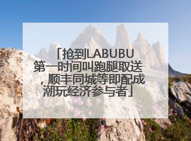 抢到LABUBU第一时间叫跑腿取送，顺丰同城等即配成潮玩经济参与者