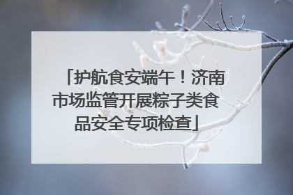 护航食安端午！济南市场监管开展粽子类食品安全专项检查