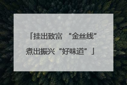 挂出致富 “金丝线” 煮出振兴“好味道”