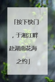 按下快门，于湘江畔赴湖南花海之约