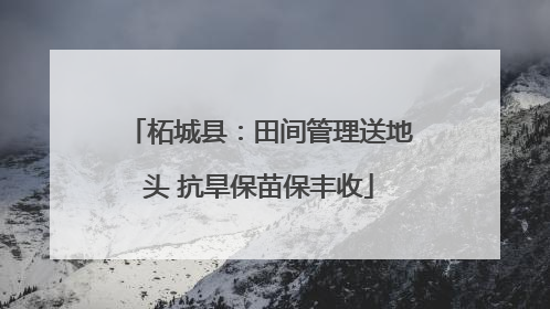 柘城县：田间管理送地头 抗旱保苗保丰收