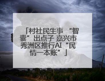 村社民生事 “智囊”出点子 嘉兴市秀洲区推行AI“民情一本账”