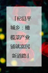 杞县平城乡：橄榄菜产业铺就富民新道路
