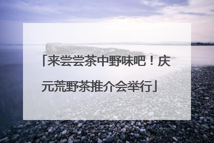 来尝尝茶中野味吧！庆元荒野茶推介会举行