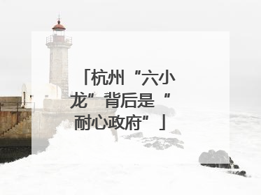 杭州“六小龙”背后是“耐心政府”
