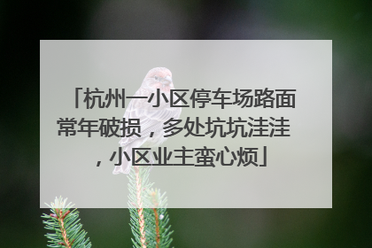 杭州一小区停车场路面常年破损，多处坑坑洼洼，小区业主蛮心烦