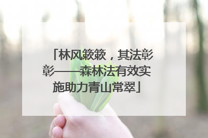 林风簌簌，其法彰彰——森林法有效实施助力青山常翠