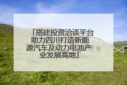 搭建投资洽谈平台 助力四川打造新能源汽车及动力电池产业发展高地
