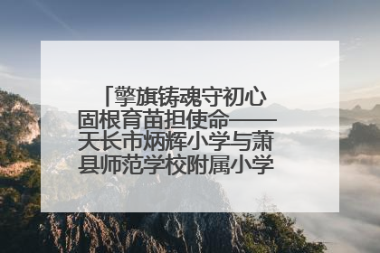 擎旗铸魂守初心 固根育苗担使命——天长市炳辉小学与萧县师范学校附属小学结对共建活动纪实