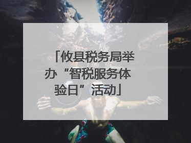 攸县税务局举办“智税服务体验日”活动