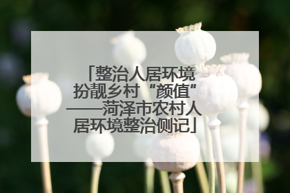 整治人居环境 扮靓乡村“颜值”——菏泽市农村人居环境整治侧记