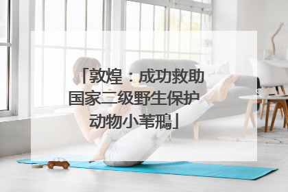 敦煌：成功救助国家二级野生保护动物小苇鳽