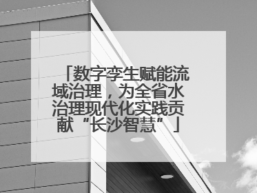 数字孪生赋能流域治理，为全省水治理现代化实践贡献“长沙智慧”