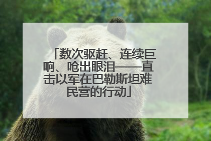 数次驱赶、连续巨响、呛出眼泪——直击以军在巴勒斯坦难民营的行动