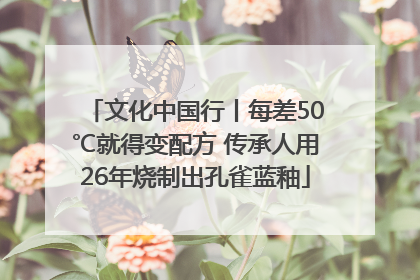 文化中国行丨每差50℃就得变配方 传承人用26年烧制出孔雀蓝釉