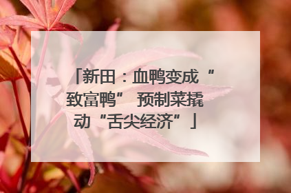 新田：血鸭变成“致富鸭” 预制菜撬动“舌尖经济”