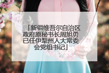 新疆维吾尔自治区政府原秘书长周旭勇已任伊犁州人大常委会党组书记