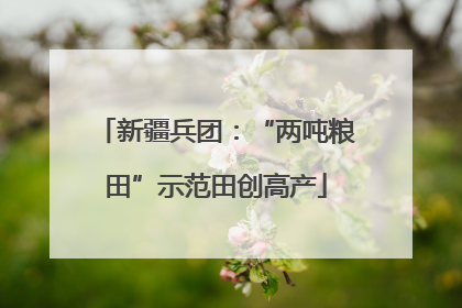 新疆兵团：“两吨粮田”示范田创高产