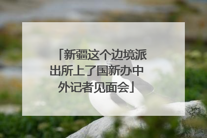 新疆这个边境派出所上了国新办中外记者见面会