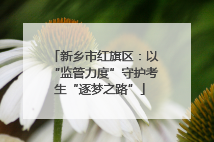 新乡市红旗区：以“监管力度”守护考生“逐梦之路”