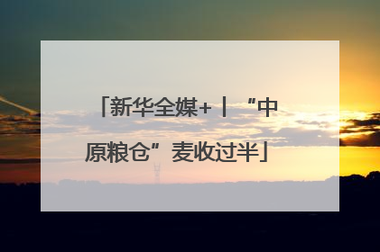 新华全媒+丨“中原粮仓”麦收过半