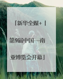 新华全媒+丨第9届中国—南亚博览会开幕