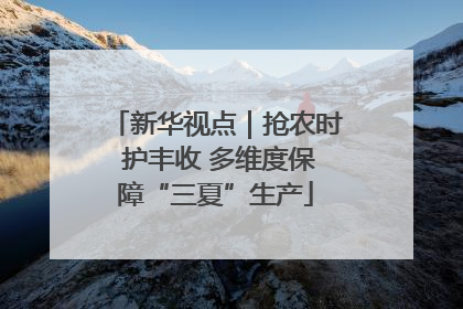 新华视点｜抢农时 护丰收 多维度保障“三夏”生产