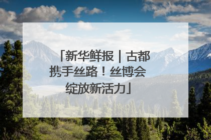 新华鲜报｜古都携手丝路！丝博会绽放新活力
